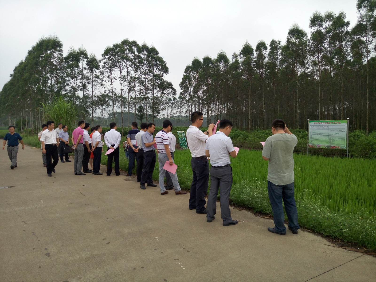 商業(yè)策劃公司