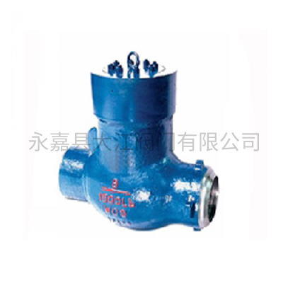 H64Y電站止回閥